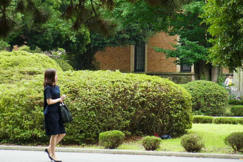 히토츠바시 국립 대학 합격후기